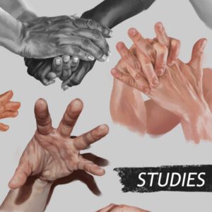 detailed realistic hand studies in color and black and white